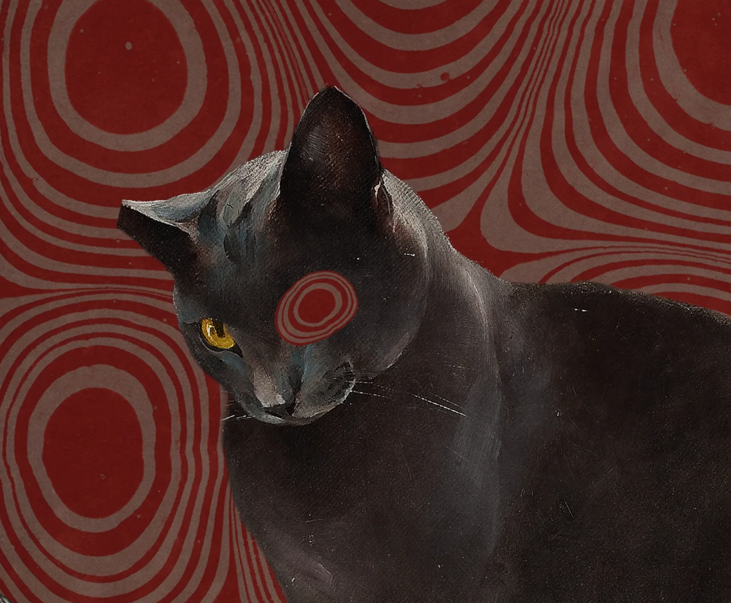 Artwork accompanying This is Disease in Malefica Press